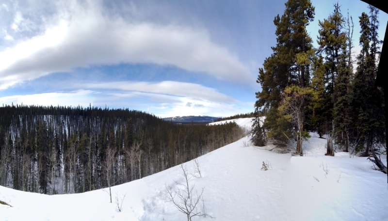 hike near whitehorse